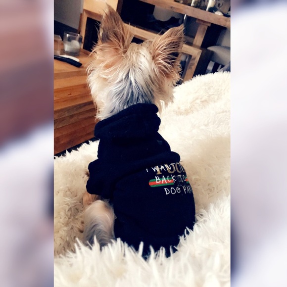 Meet ⭐️ Posh Ambassador ⭐️ , Brian - Picture 3 of 7